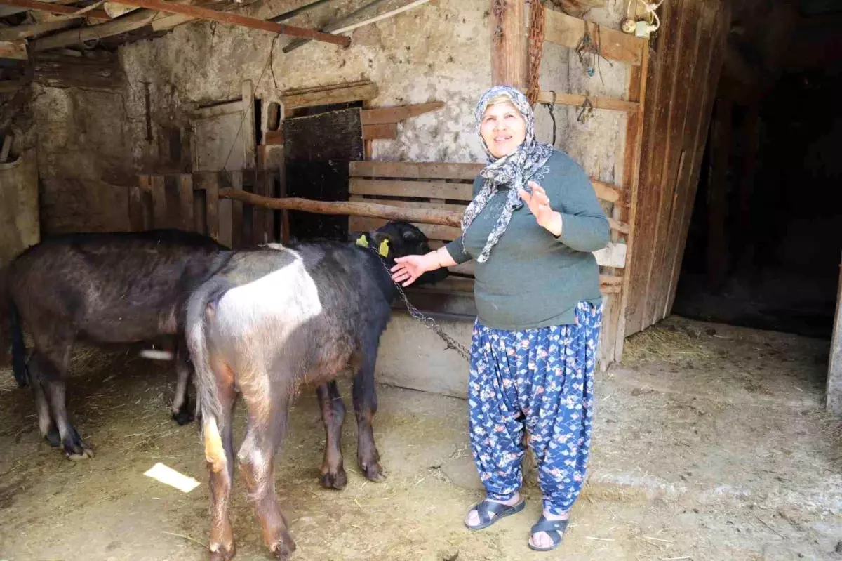 Eskişehir'de Kırsal Kalkınma İçin Yerel Üreticilere Destek