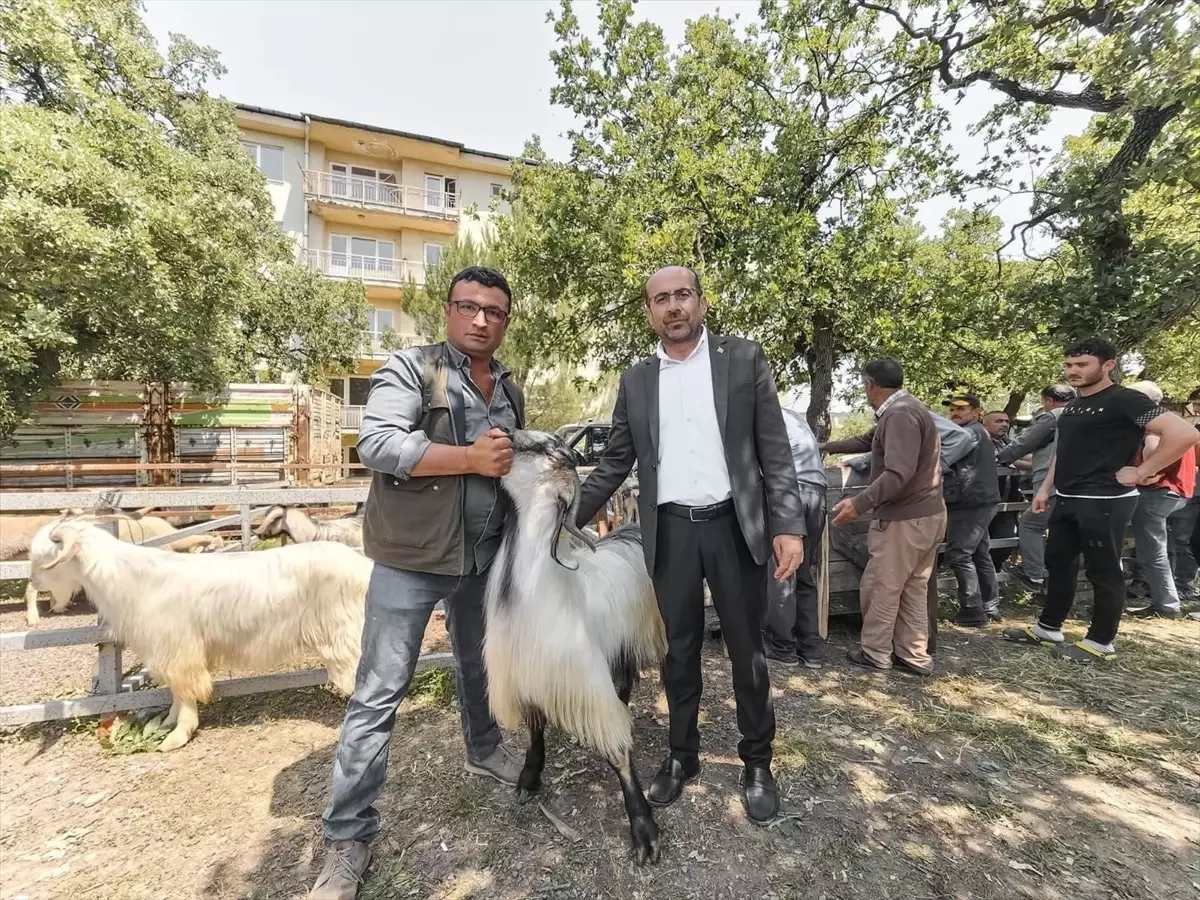 Orhaneli'de Kurban Pazarı Ziyareti