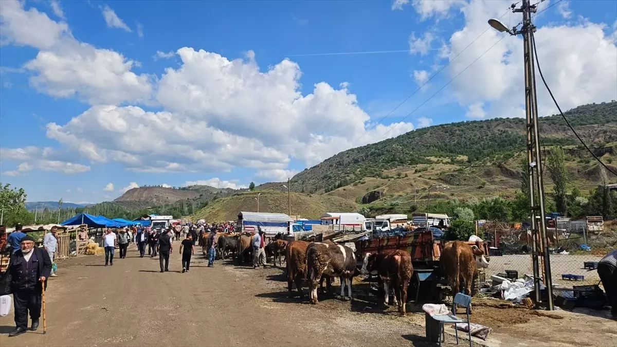 Bayat'ta Kurban Pazarı Hareketliliği