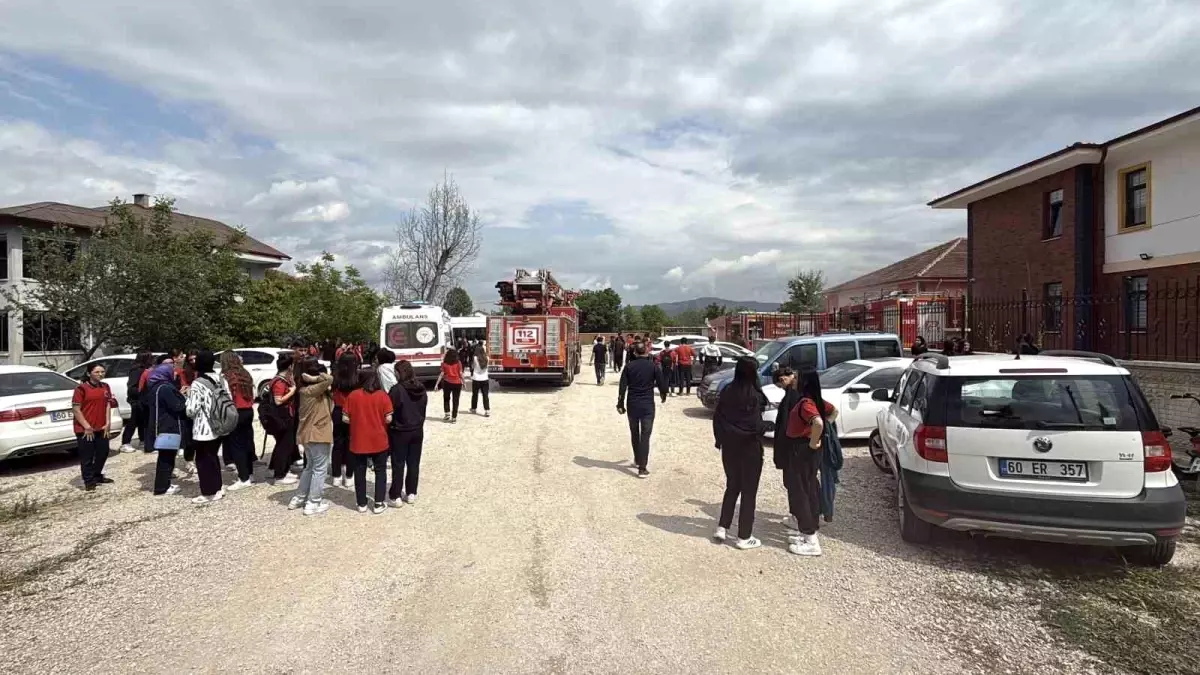 Eğitim