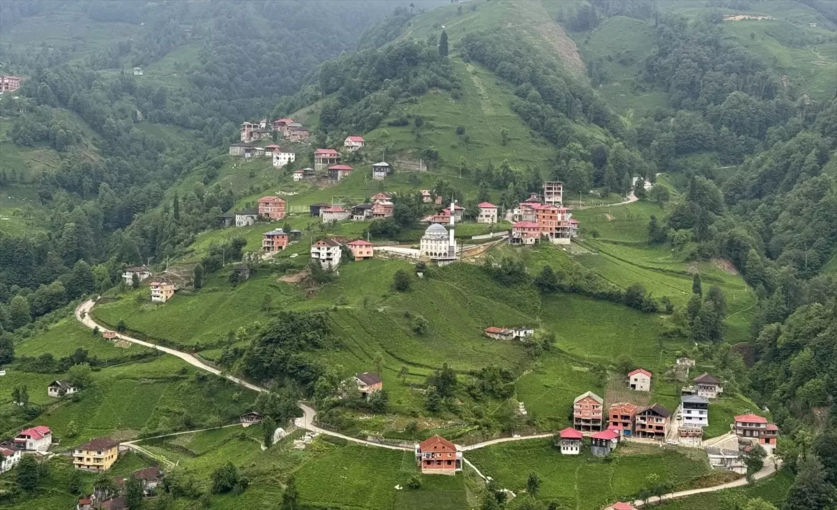 Rize'de Dijital Düğün Davetiyesi Dönemi