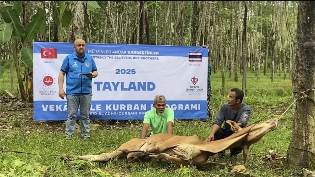 Ulaş'ta 297 Kurban Bağışı Yapıldı