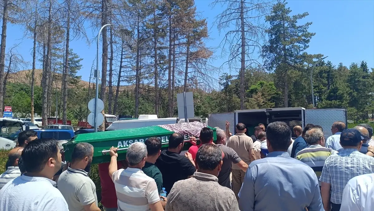 Eğitim