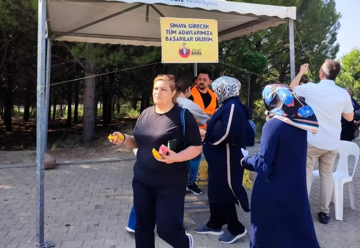 Eğitim