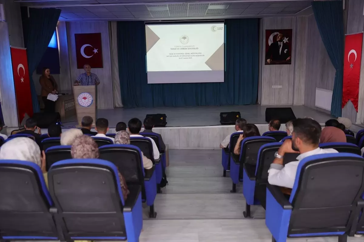Eğitim