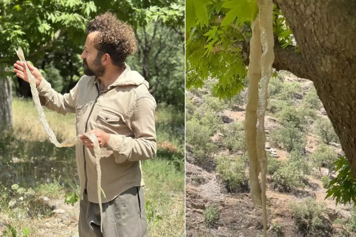 Eğitim