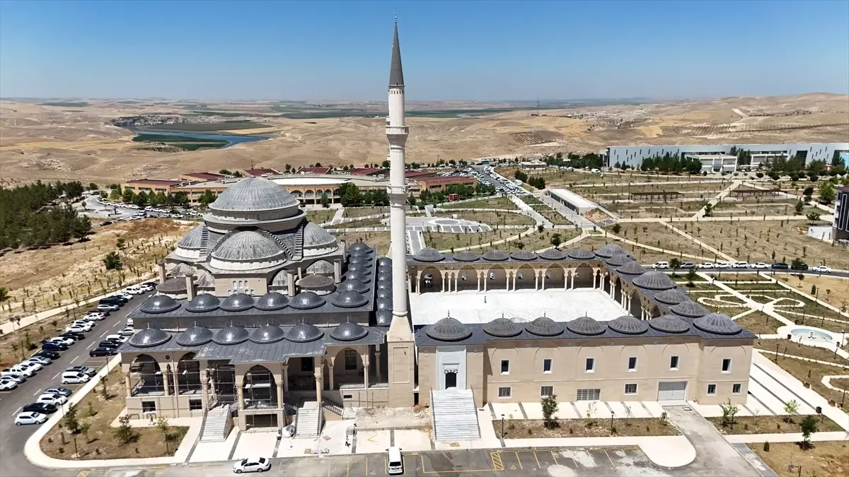 Eğitim