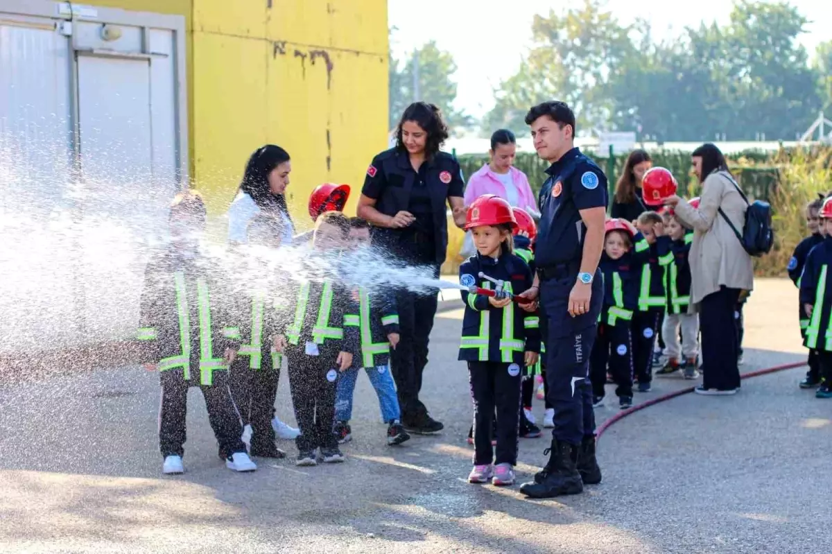 Eğitim