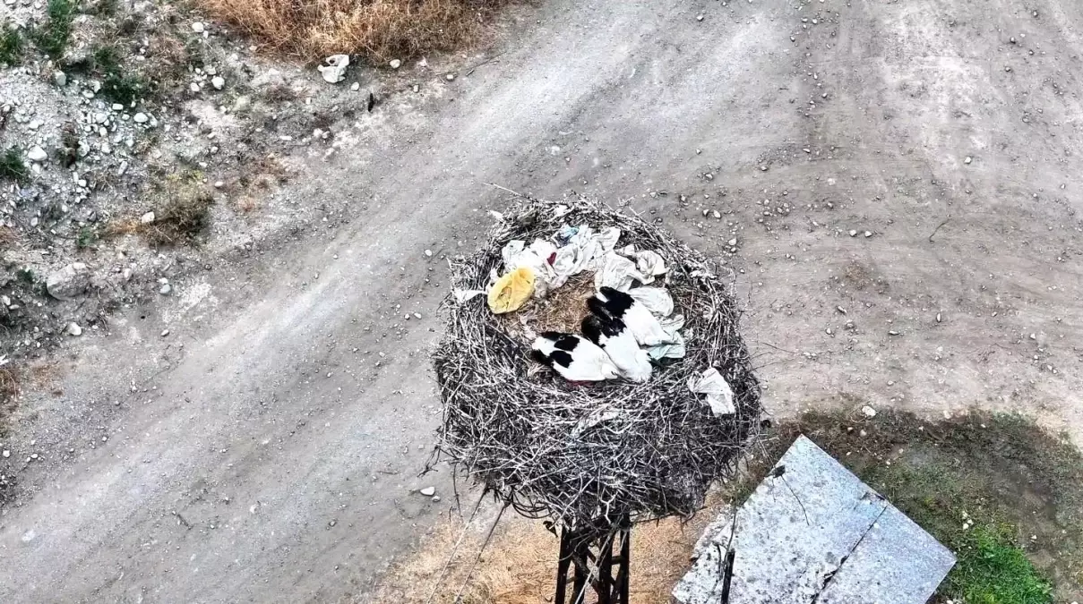 Boyabat'ta Leylek Ailesi Drone ile Görüntülendi