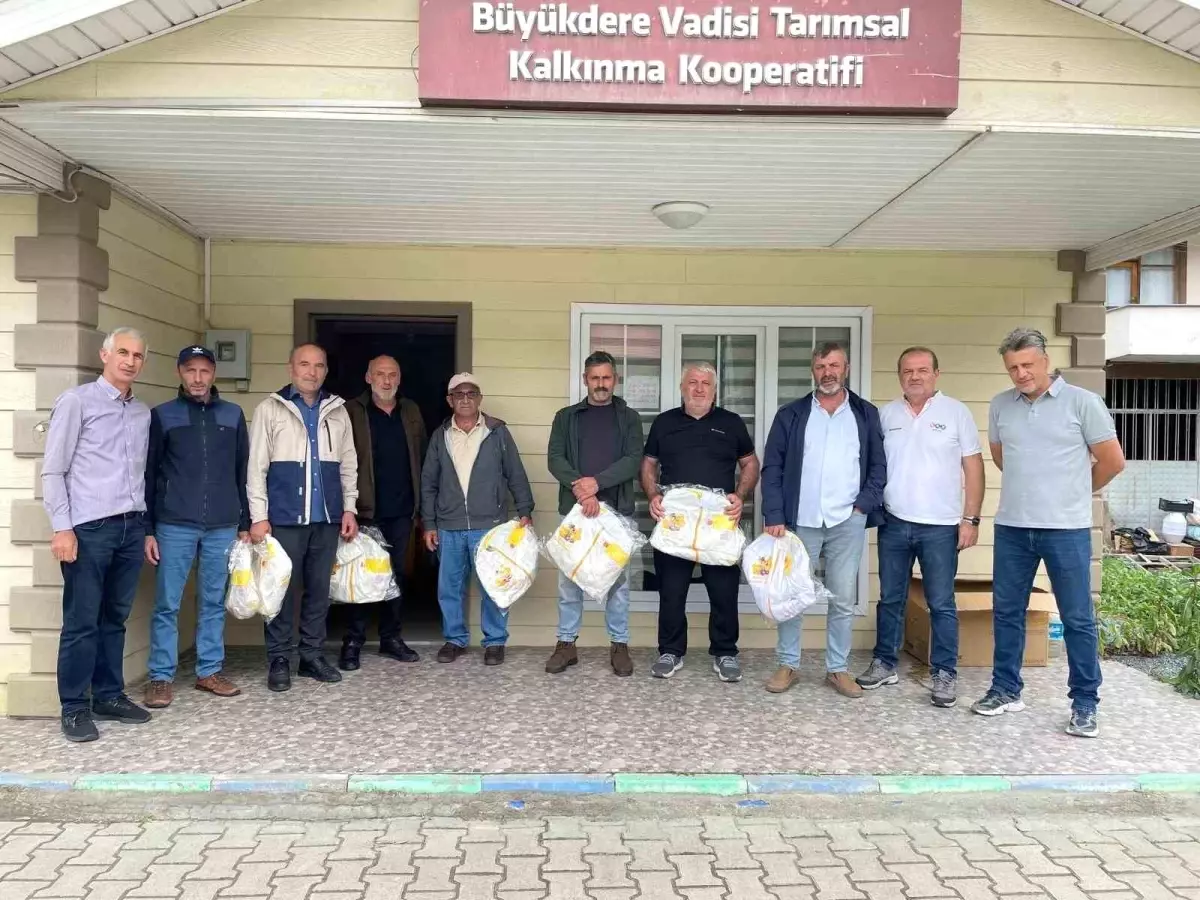 Eğitim