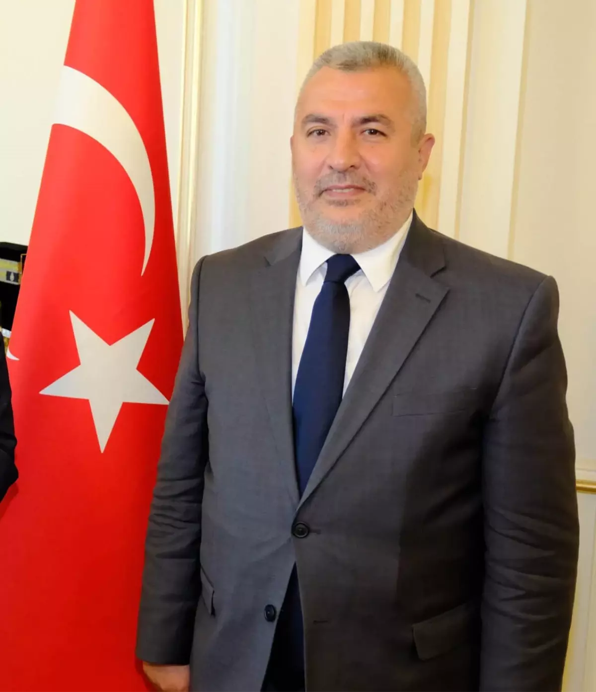 Eğitim