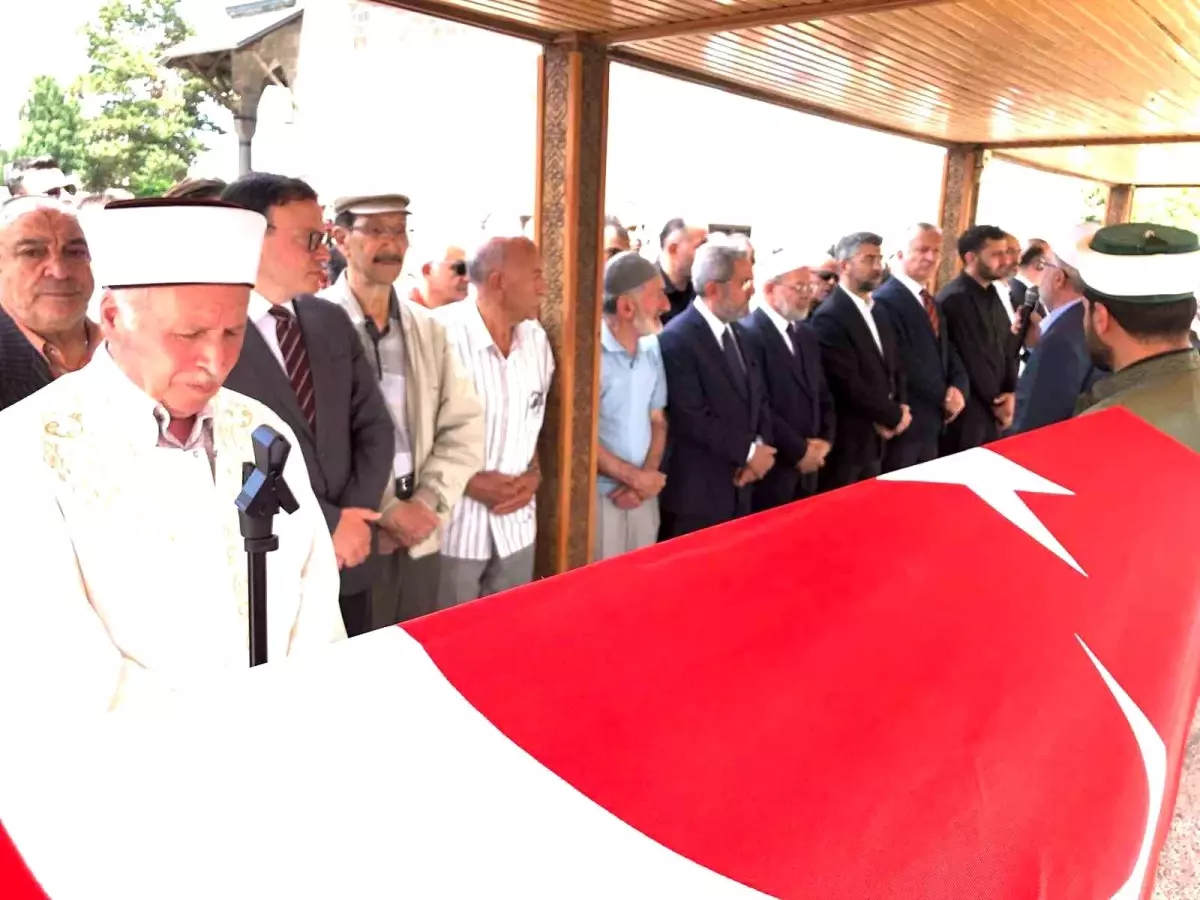Eğitim