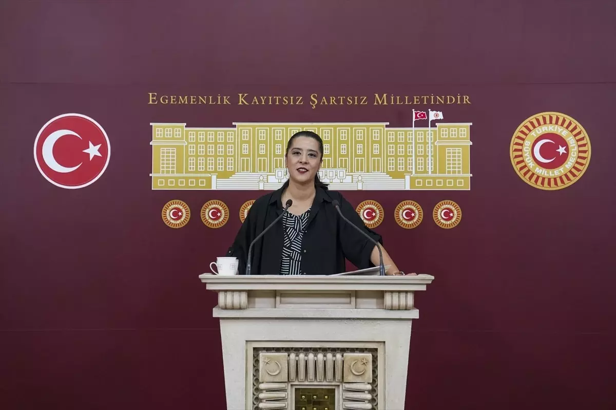 Eğitim
