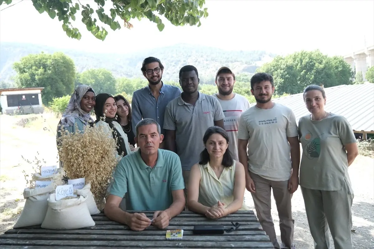 Eğitim