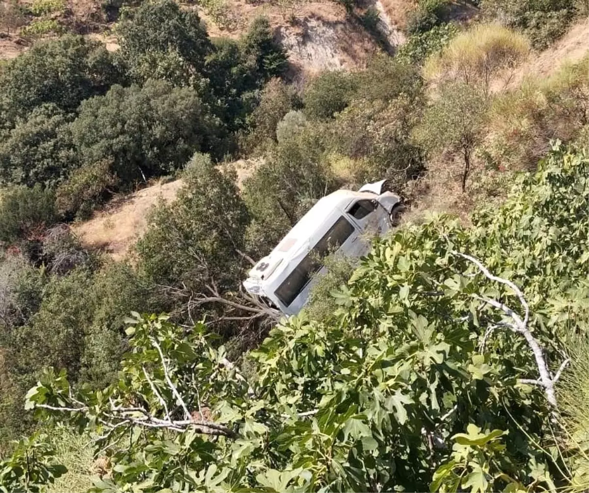 Eğitim