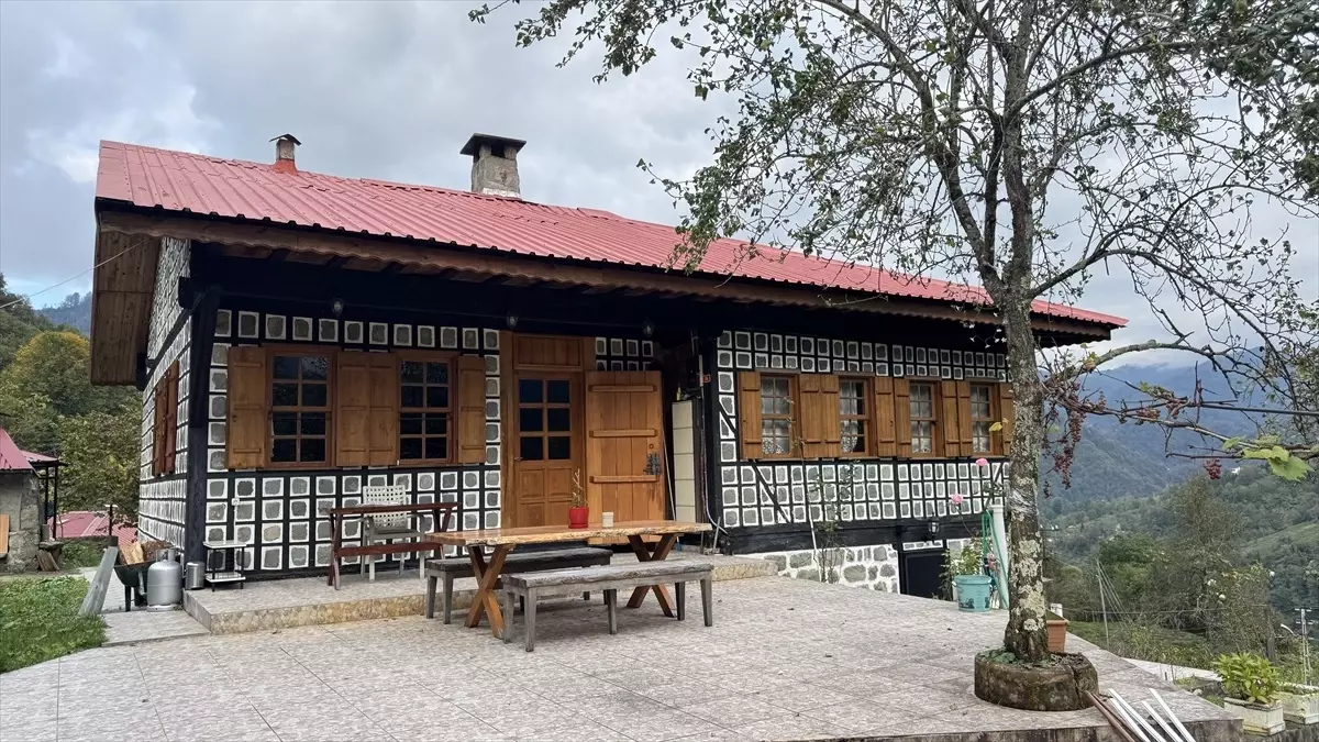 Arılı Köyü: Tarihi Mimari ve Doğa Cenneti