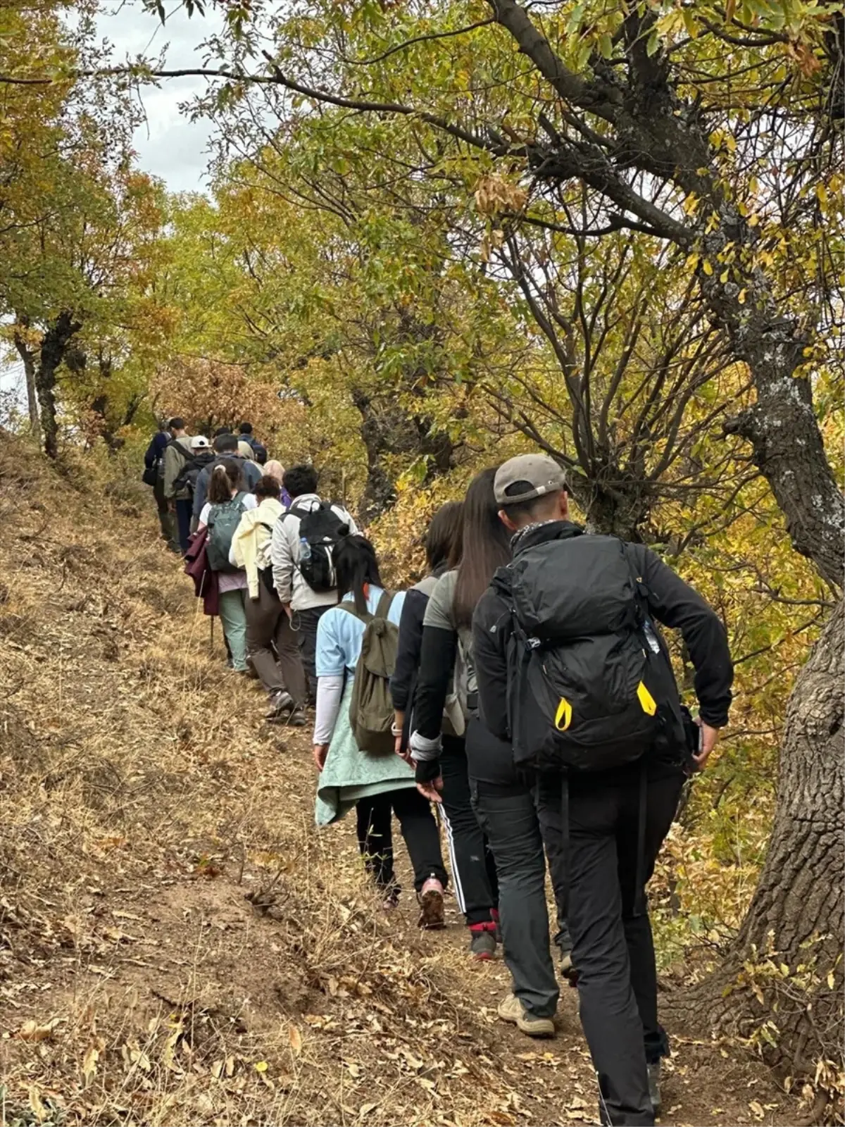 Hizan'da Sonbahar Renkleri